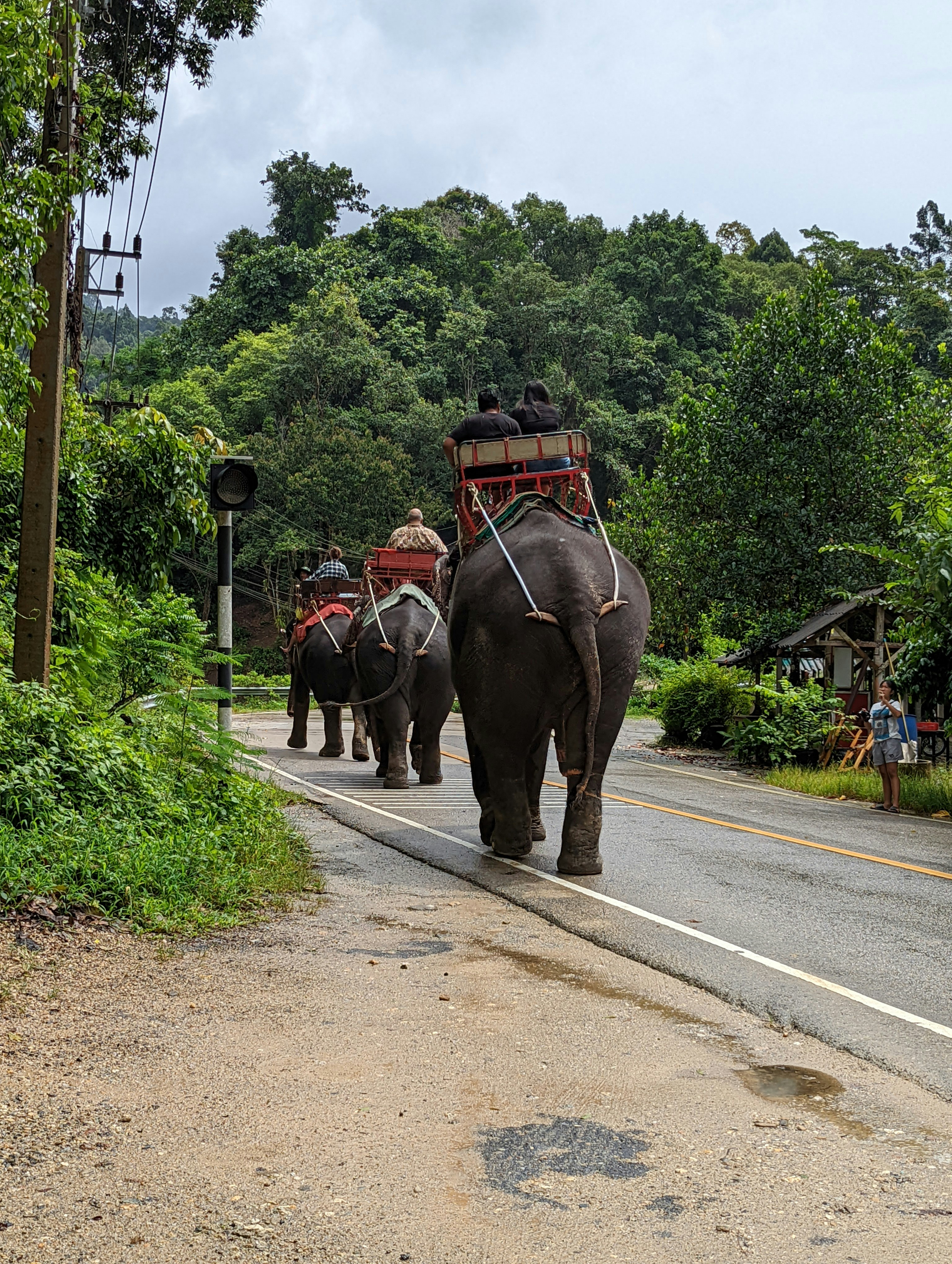 Top Experiences in Sri Lanka