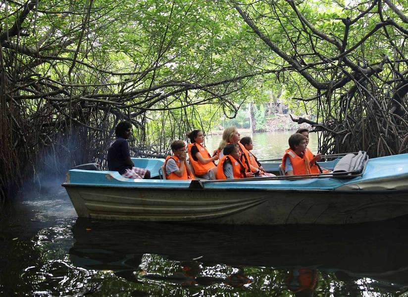 Madu River Safari