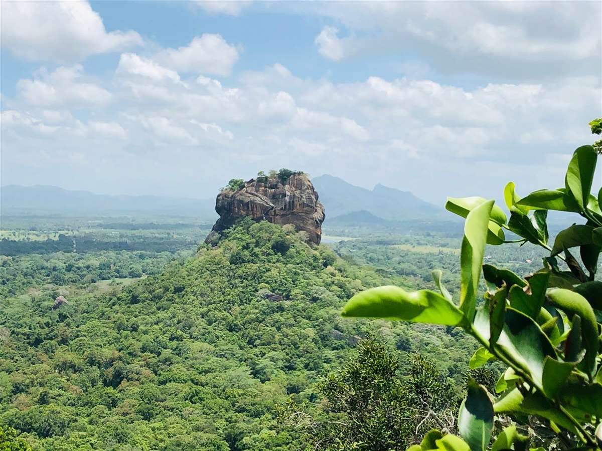 Yala Wildlife Safari