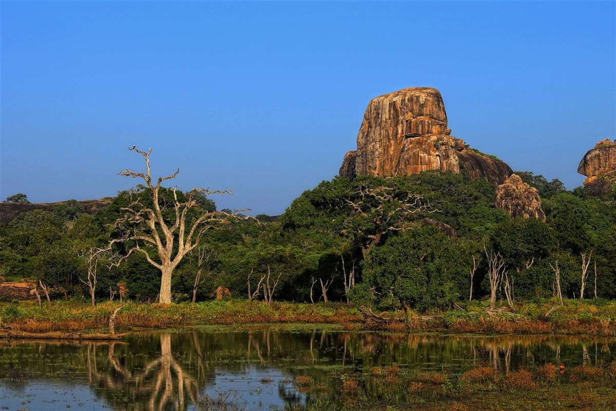 Golden Temple Dambulla