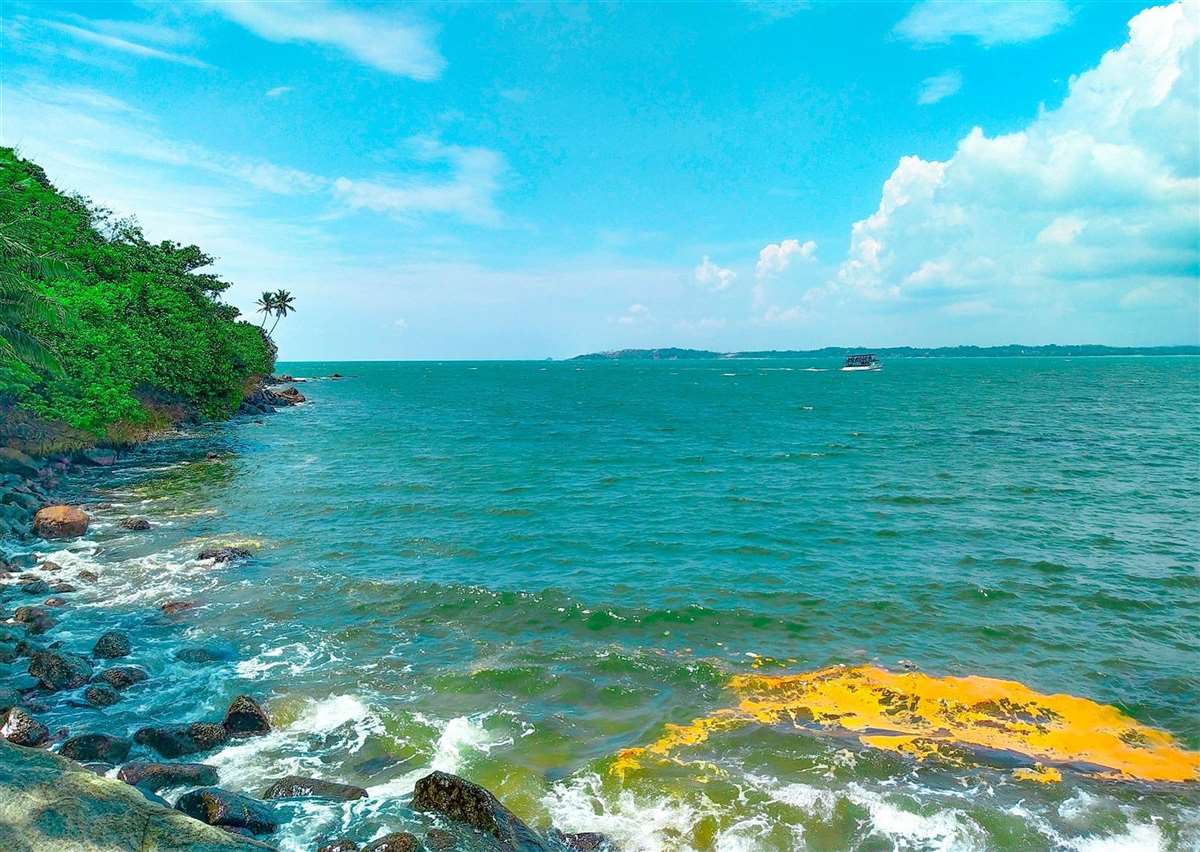Mirissa Beach